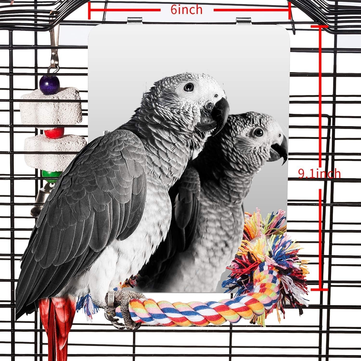 9 Inch Stainless Steel Bird Mirror with Rope Perch, Bird Toys Swing, Comfy Perch for African Grey Parakeet Cockatiel Conure Lovebird Finch Canaries