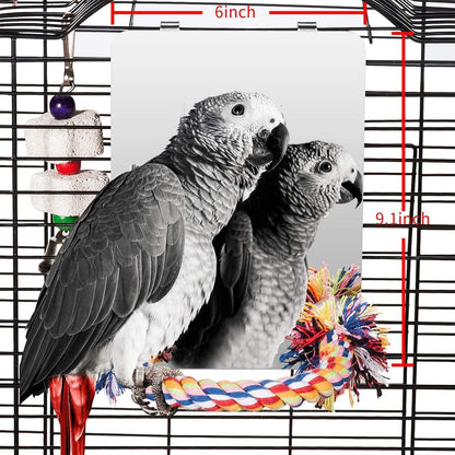 9 Inch Stainless Steel Bird Mirror with Rope Perch, Bird Toys Swing, Comfy Perch for African Grey Parakeet Cockatiel Conure Lovebird Finch Canaries