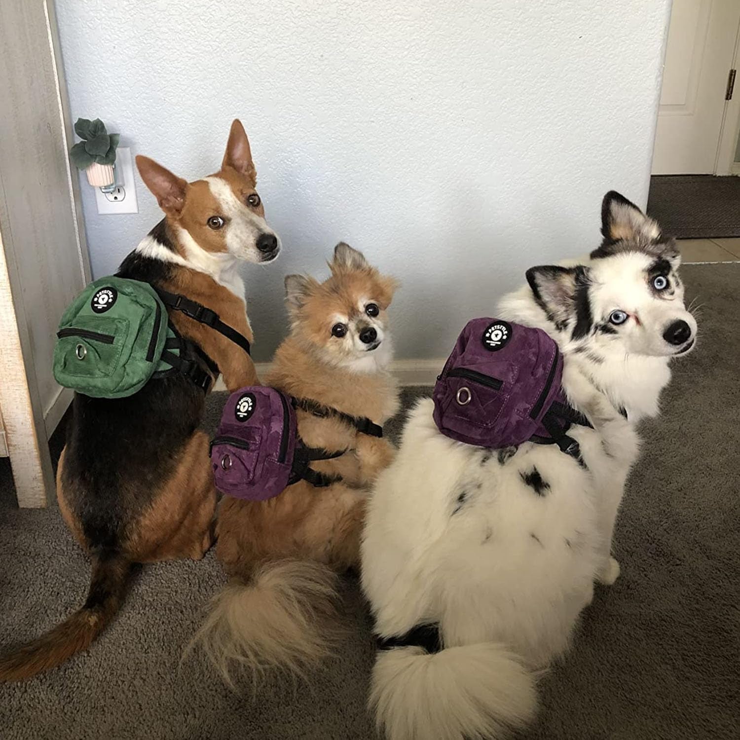 Dog Backpack Harness with Leash, Dog Poop Bag Dispenser, Pet Self Carrier Adjustable Travel Hiking Walking Harness Backpack for Small Medium Dogs (M(Fit:10-15Lb), Purple)