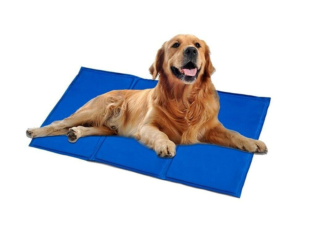 CRUFTS Pets Cooling Gel Mat Sizes for Dogs Cats Summer Pet Cooler Vests Collar