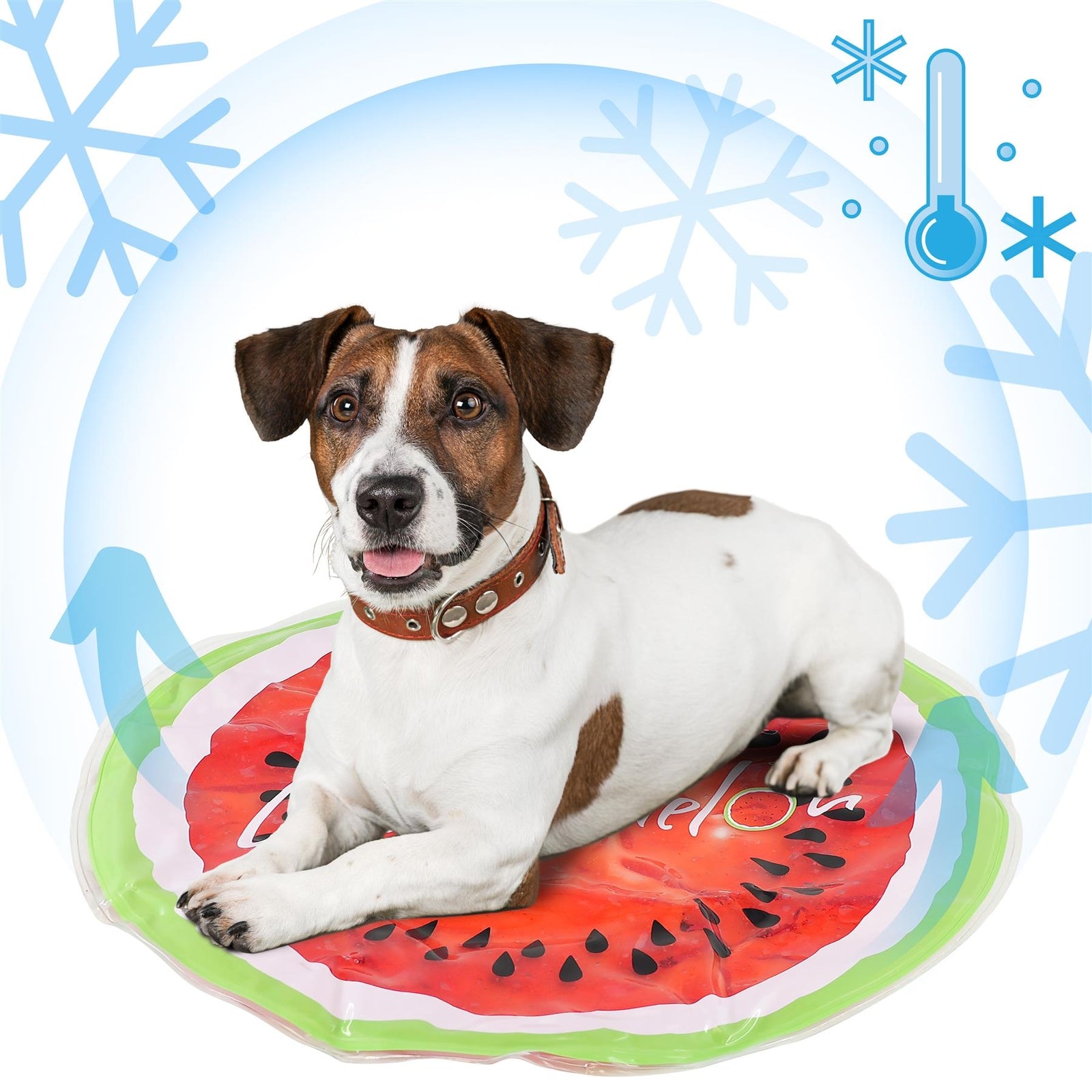 Dog Cooling Mat Kennel Sleeping Mattress Gel Self-Cooling Pad Pet Cooling Pad