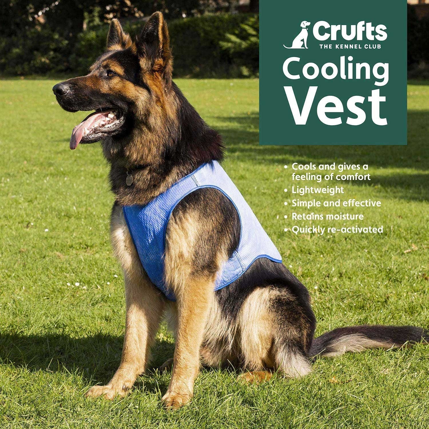 CRUFTS Pets Cooling Gel Mat Sizes for Dogs Cats Summer Pet Cooler Vests Collar