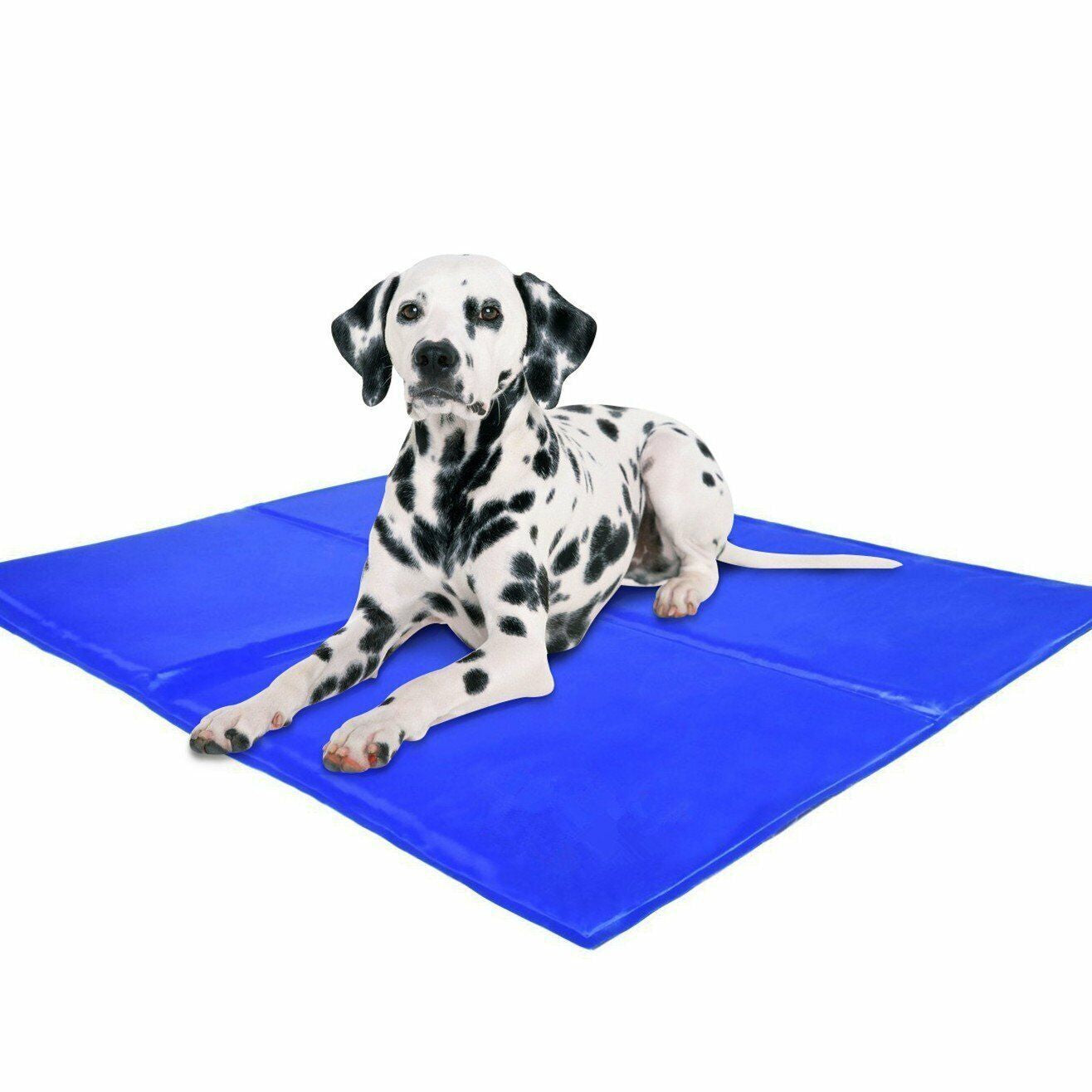 CRUFTS Pets Cooling Gel Mat Sizes for Dogs Cats Summer Pet Cooler Vests Collar
