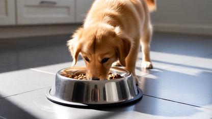 Stainless Steel Dog Bowl Large Non Slip Metal Food Water Rust Resistant 2 Pack