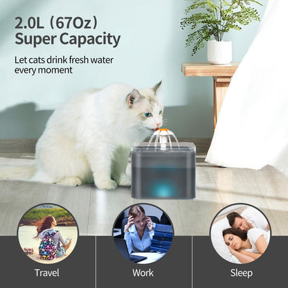 2L Cat Water Fountain Drinking Automatic Pet Dispenser Activated Carbon Filter