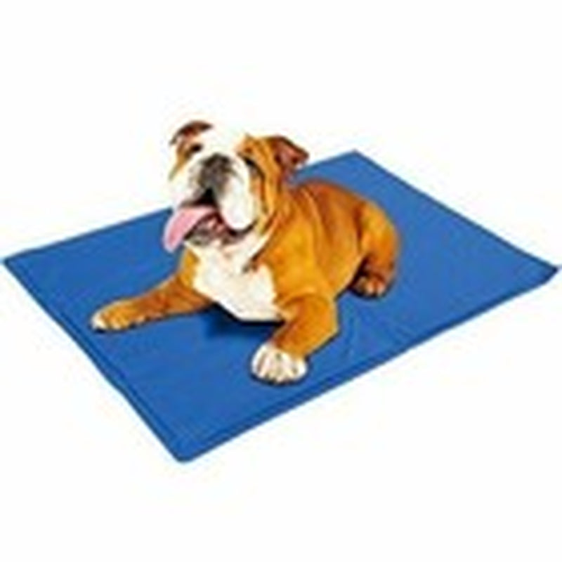 CRUFTS Pets Cooling Gel Mat Sizes for Dogs Cats Summer Pet Cooler Vests Collar