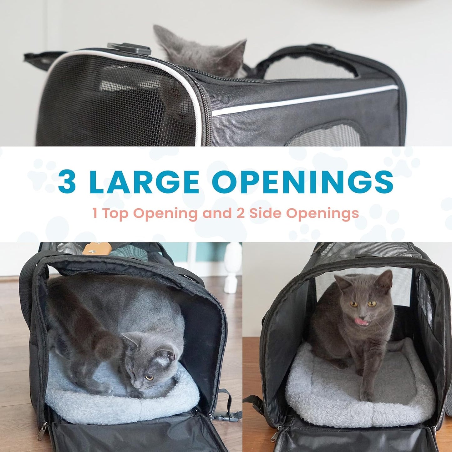 Pet Carrier Bag for Cats & Small Dogs - Lightweight, Breathable Pet Travel Bag with Mesh Sides, Reinforced Frame, Removable Mat & Shoulder Strap for Secure Transport