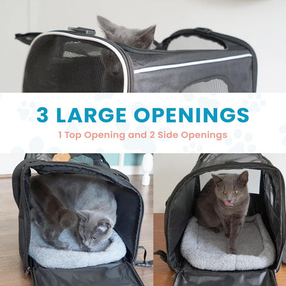 Pet Carrier Bag for Cats & Small Dogs - Lightweight, Breathable Pet Travel Bag with Mesh Sides, Reinforced Frame, Removable Mat & Shoulder Strap for Secure Transport
