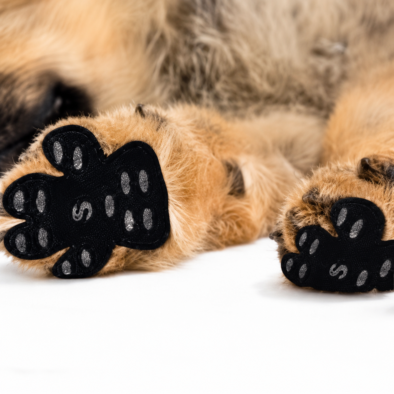 Anti-Slip Dog Paw Protector Stickers