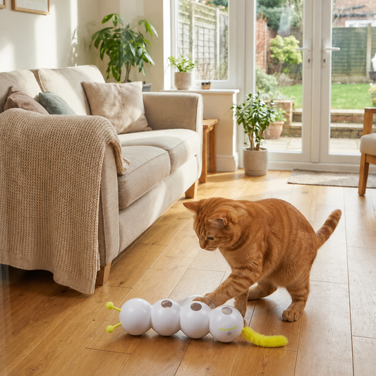 Caterpillar Suction Cup Cat Toy