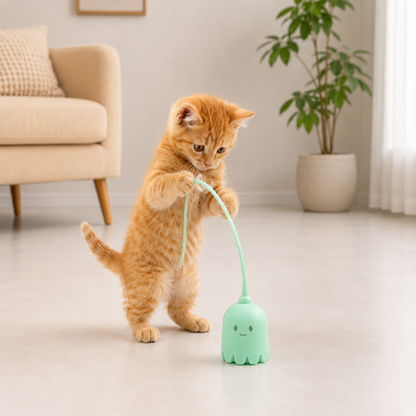 USB Intelligent Rolling Ball Cat Toy