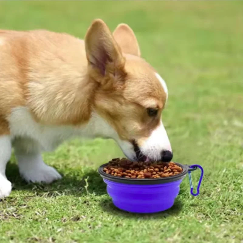 Durable TPR Portable Pet Food Bowl for Cats and Dogs Silicone Collapsible Travel Outdoor Water Food Bowl for Pets
