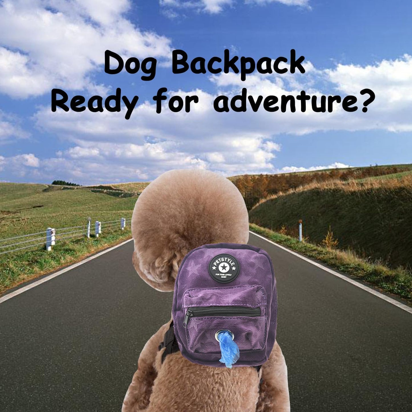 Dog Backpack Harness with Leash, Dog Poop Bag Dispenser, Pet Self Carrier Adjustable Travel Hiking Walking Harness Backpack for Small Medium Dogs (M(Fit:10-15Lb), Purple)