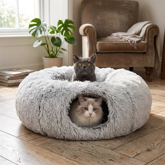 Lifestyle image