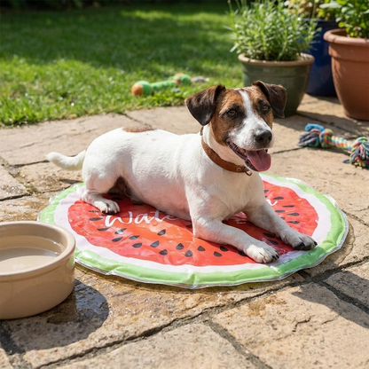 Dog Cooling Mat Kennel Sleeping Mattress