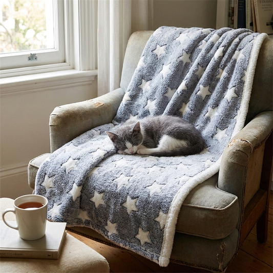 Warm Fleece Pet Blanket Mat
