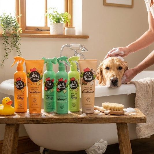 Pet Head Dog Shampoo Conditioner Sensitive