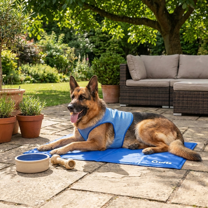 CRUFTS Pets Cooling Gel Mat Dogs Cats Summer